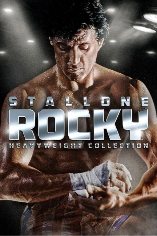 ROCKY FOREX PHOTO BOARD لوحات فوركس