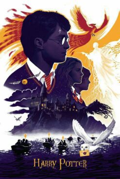 HARRY POTTER FOREX PHOTO BOARD لوحات فوركس