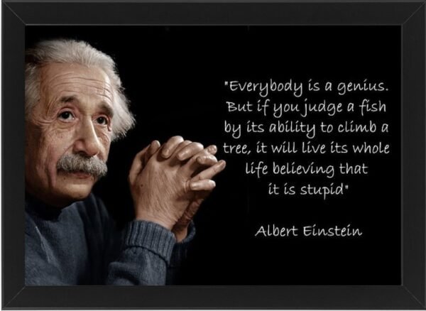 Albert Einstein High Resolution Framed Photo Art Print