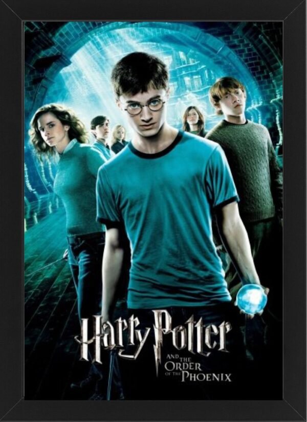Harry Potter and the Order of the Phoenix High Resolution Framed Photo Art Print