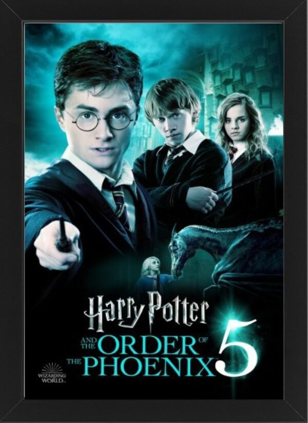 Harry Potter and the Order of the Phoenix High Resolution Framed Photo Art Print