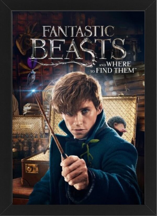 Fantastic Beasts and Where to Find Them High Resolution Framed Photo Art Print