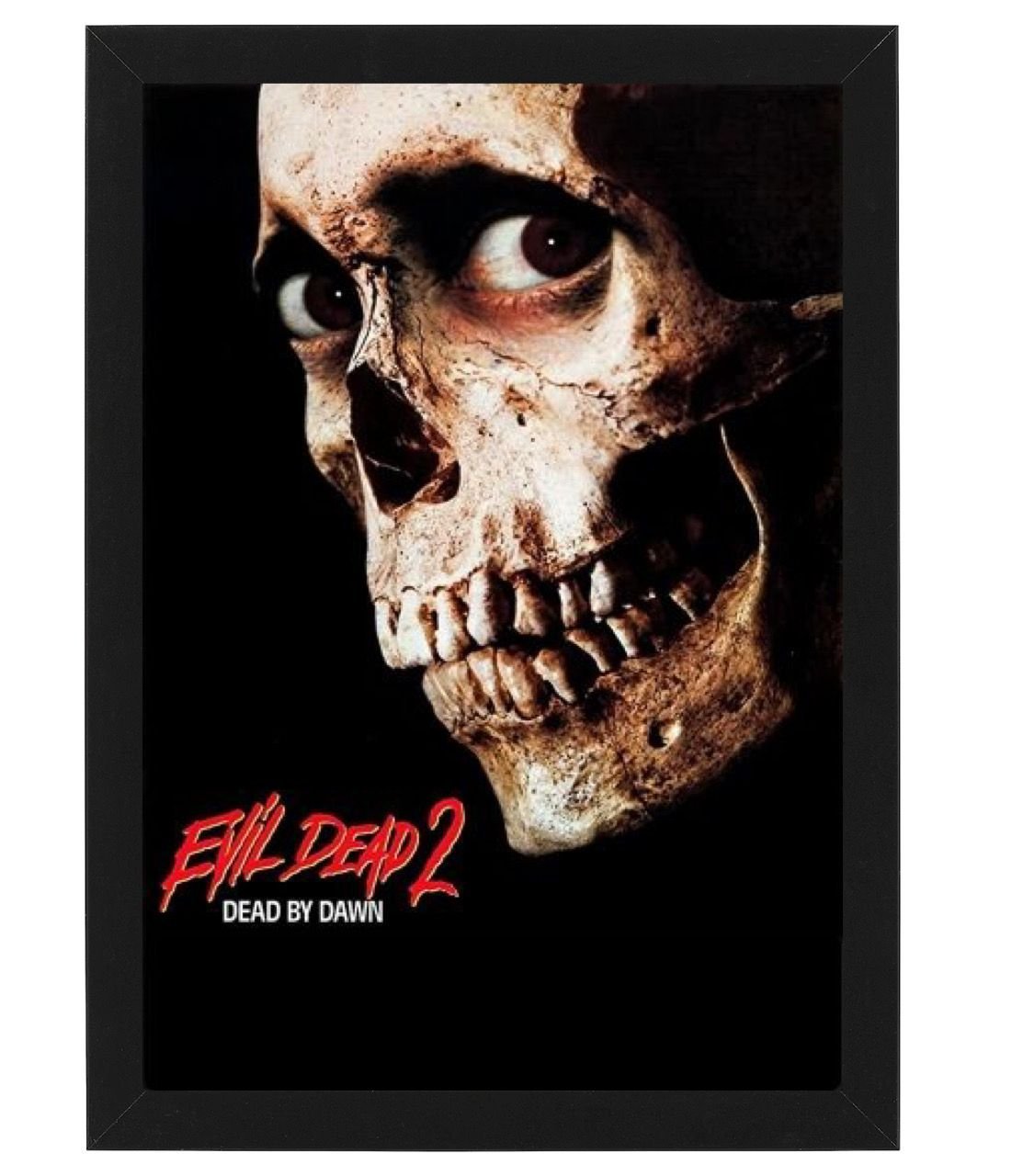 AdamMegaStore-2022-06-28_02-02-41_512710-1