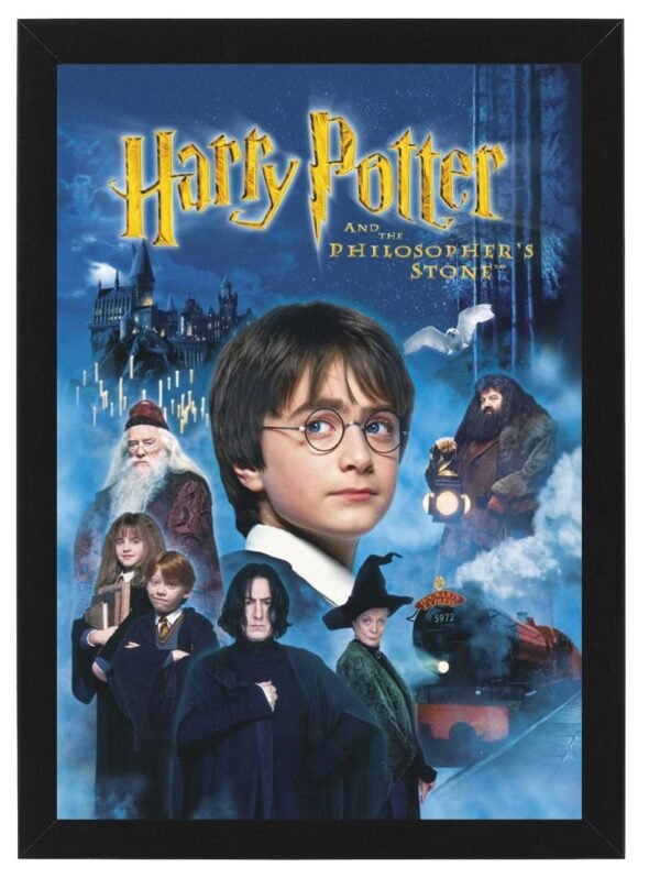 HARRY POTTER framed Photo Art Print