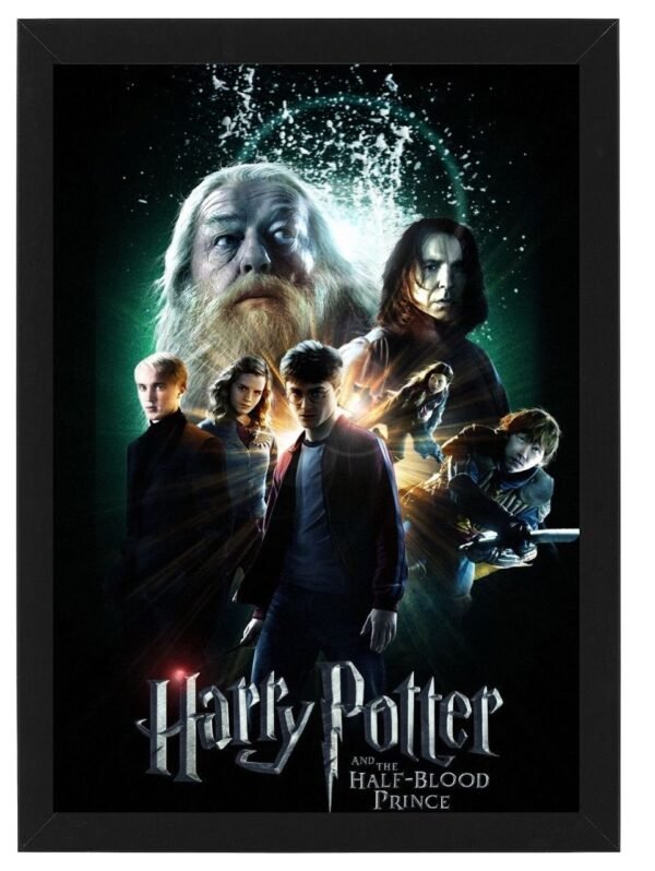 HARRY POTTER framed Photo Art Print