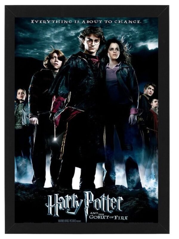 HARRY POTTER framed Photo Art Print