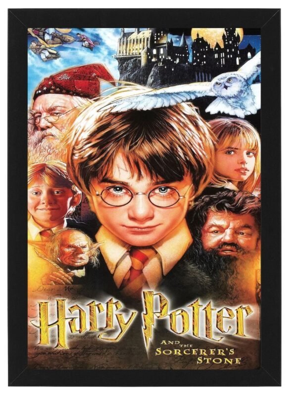 HARRY POTTER framed Photo Art Print