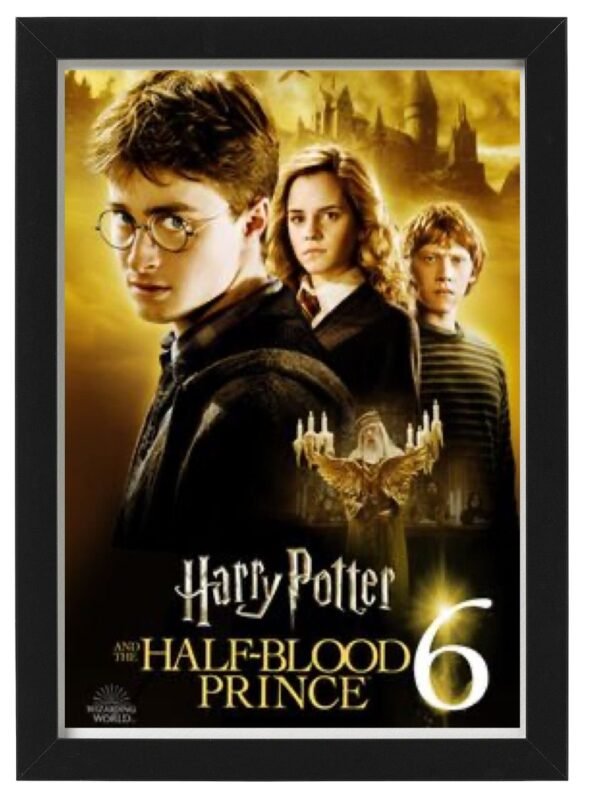 HARRY POTTER framed Photo Art Print