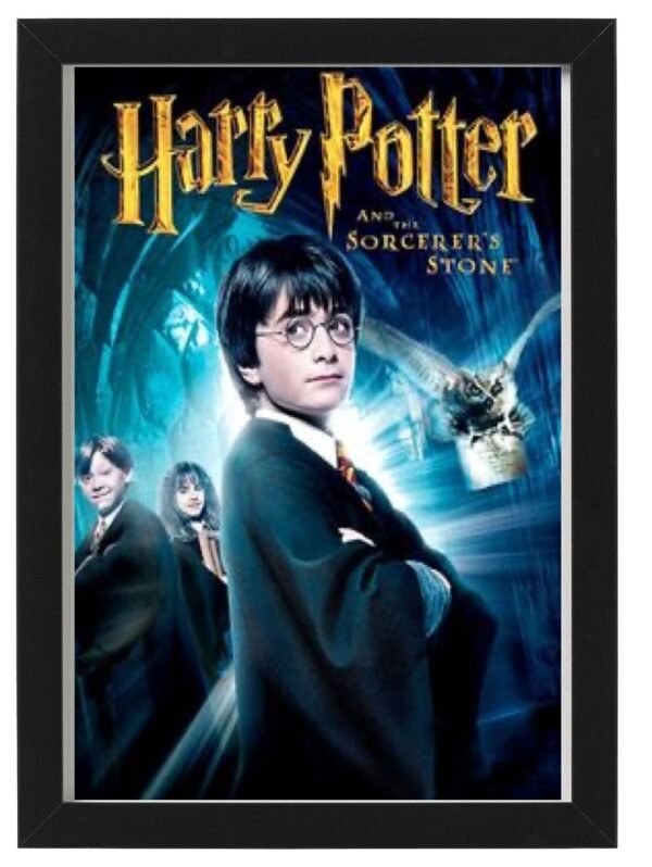 HARRY POTTER framed Photo Art Print