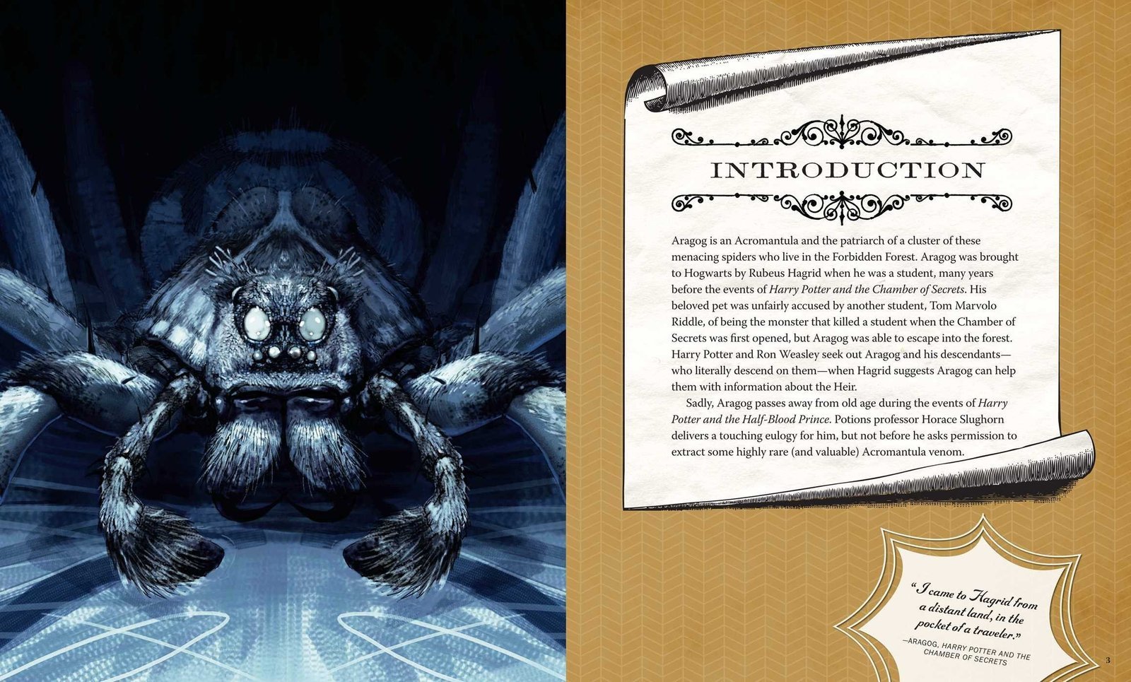 Harry Potter : Aragog Deluxe Book and Model Set Hardcover - Image 4