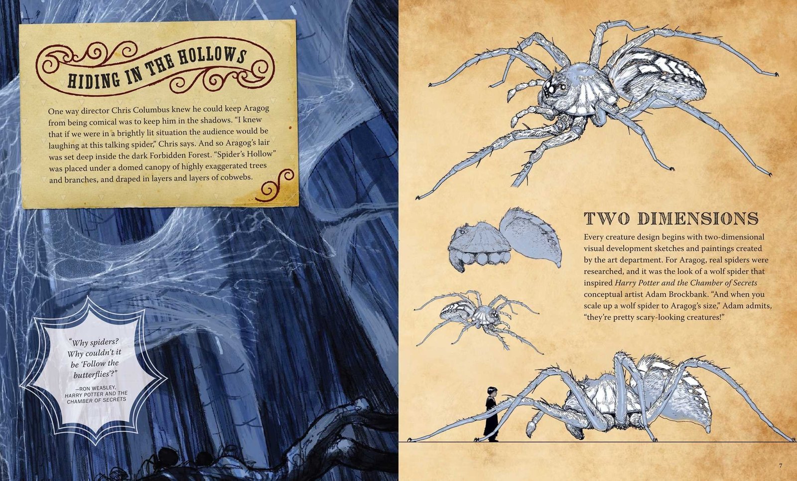 Harry Potter : Aragog Deluxe Book and Model Set Hardcover - Image 7