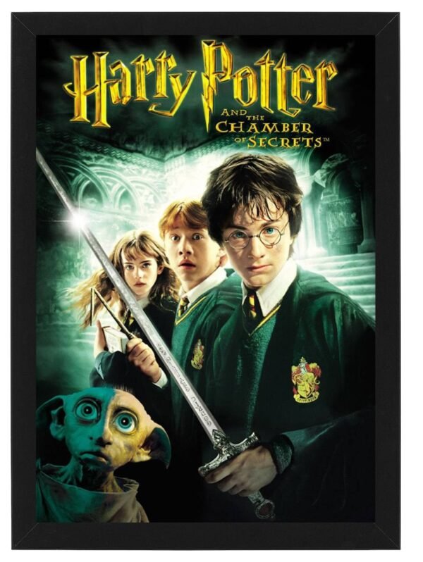 HARRY POTTER framed Photo Art Print