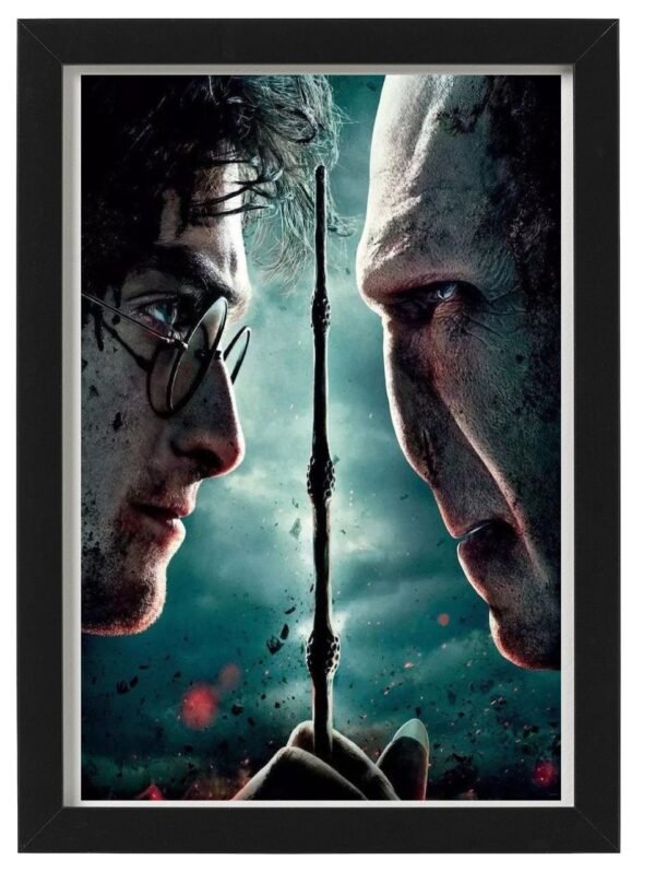 HARRY POTTER framed Photo Art Print