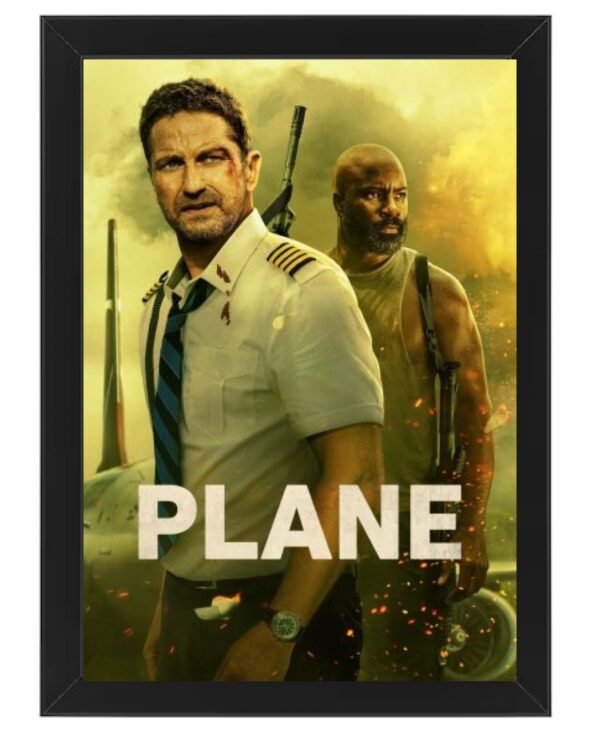 plane Photo Art Print