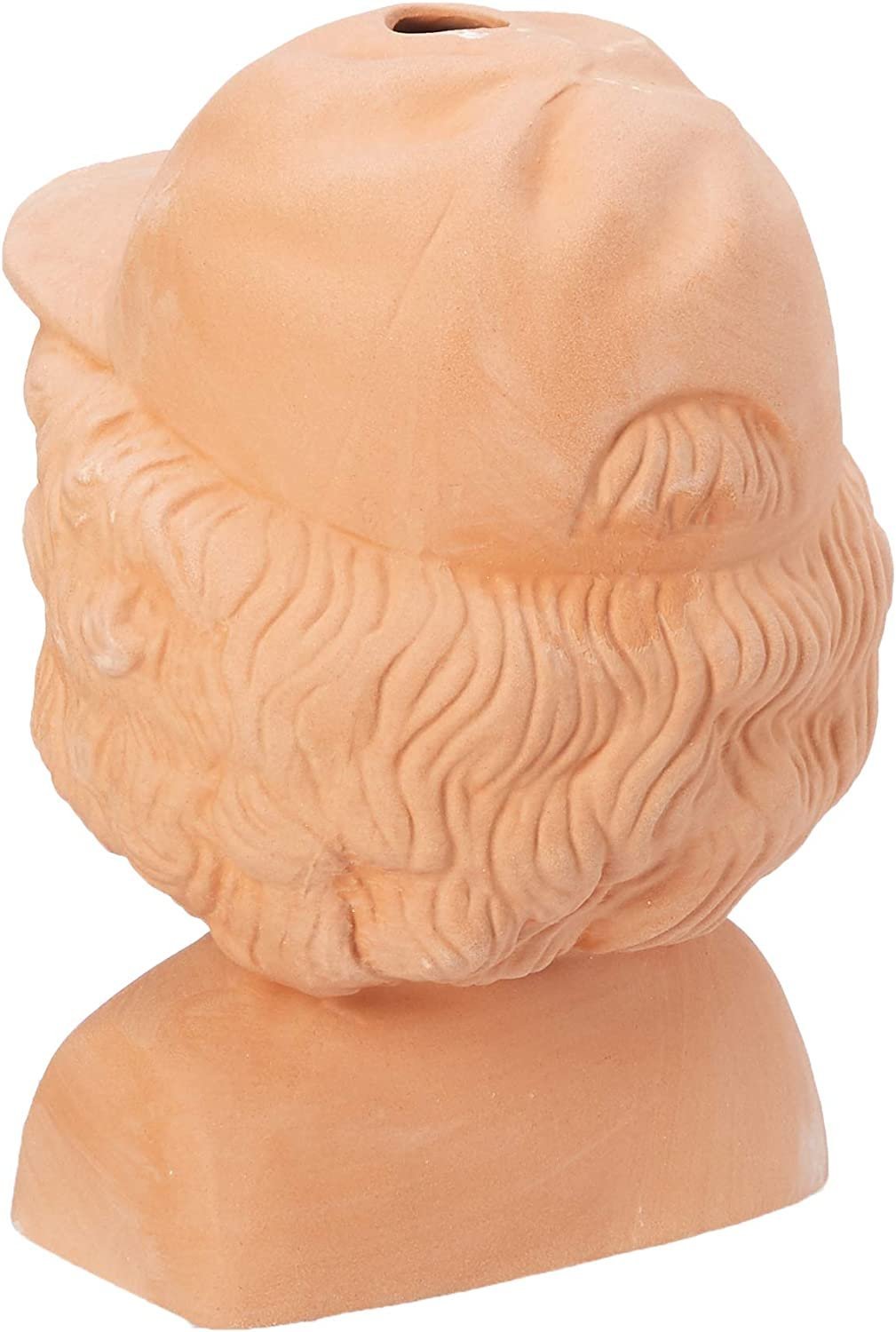 Chia Pet Stranger Things - Dustin with Seed Pack, Decorative Pottery Planter, Easy to Do and Fun to Grow - Image 3