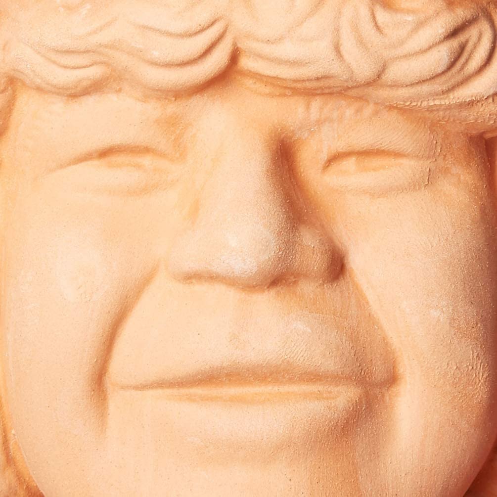 Chia Pet Stranger Things - Dustin with Seed Pack, Decorative Pottery Planter, Easy to Do and Fun to Grow - Image 4