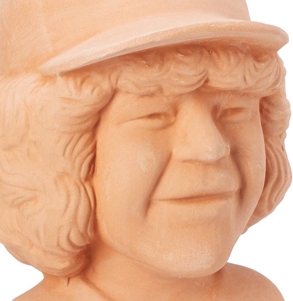 Chia Pet Stranger Things - Dustin with Seed Pack, Decorative Pottery Planter, Easy to Do and Fun to Grow - Image 5