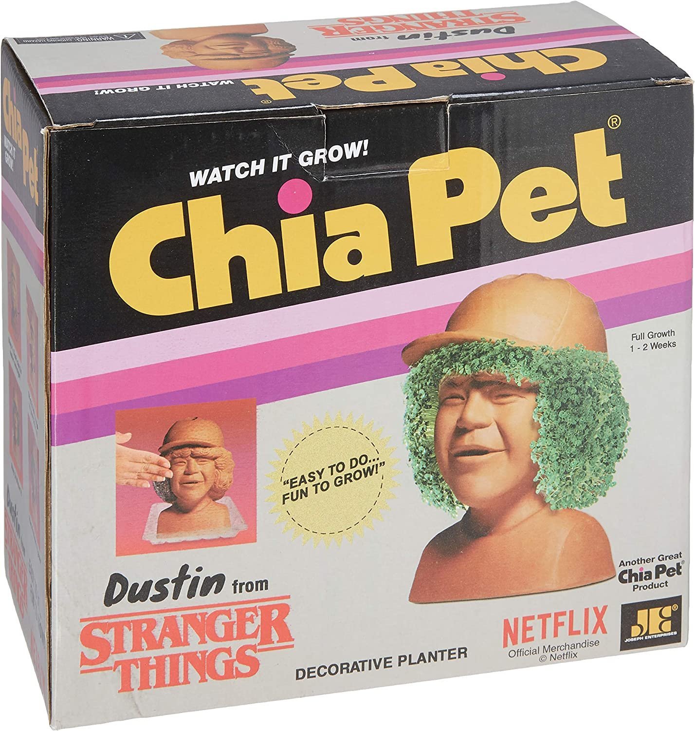 Chia Pet Stranger Things - Dustin with Seed Pack, Decorative Pottery Planter, Easy to Do and Fun to Grow - Image 6