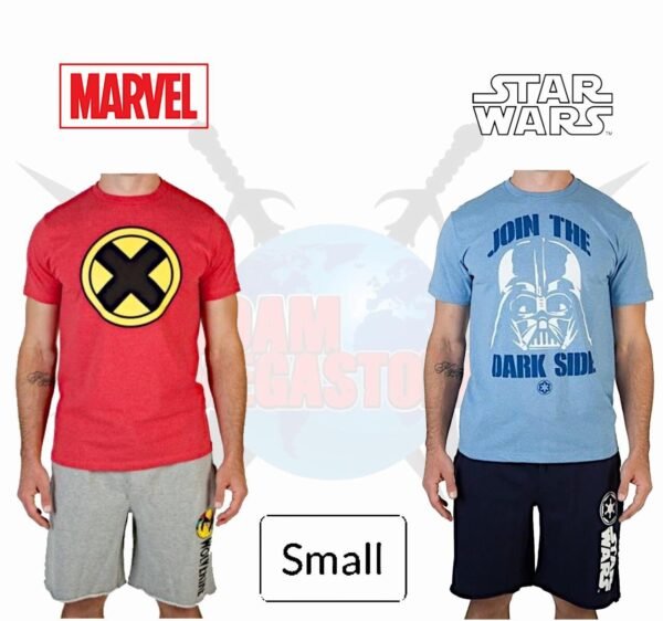 Mens Shorts & T-Shirt - Set of 2 (SMALL)