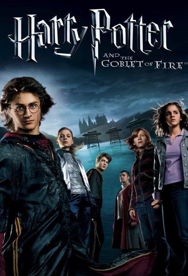 HARRY POTTER FOREX PHOTO BOARD