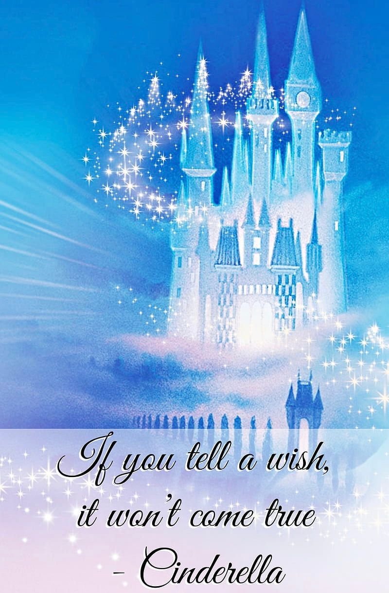 AdamMegaStore-2023-08-09_08-35-44_100641-1