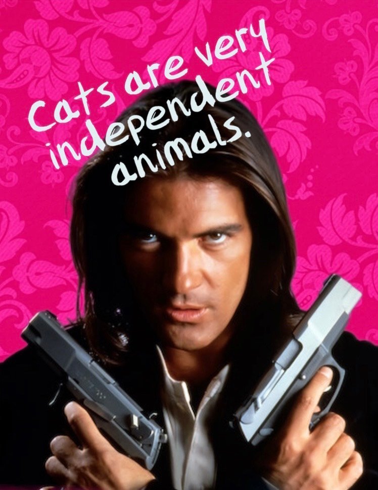 AdamMegaStore-2023-08-10_16-04-56_725611-1