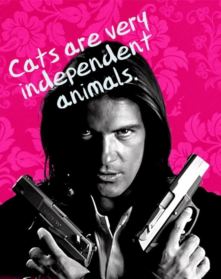 AdamMegaStore-2023-08-10_16-09-53_065633-1