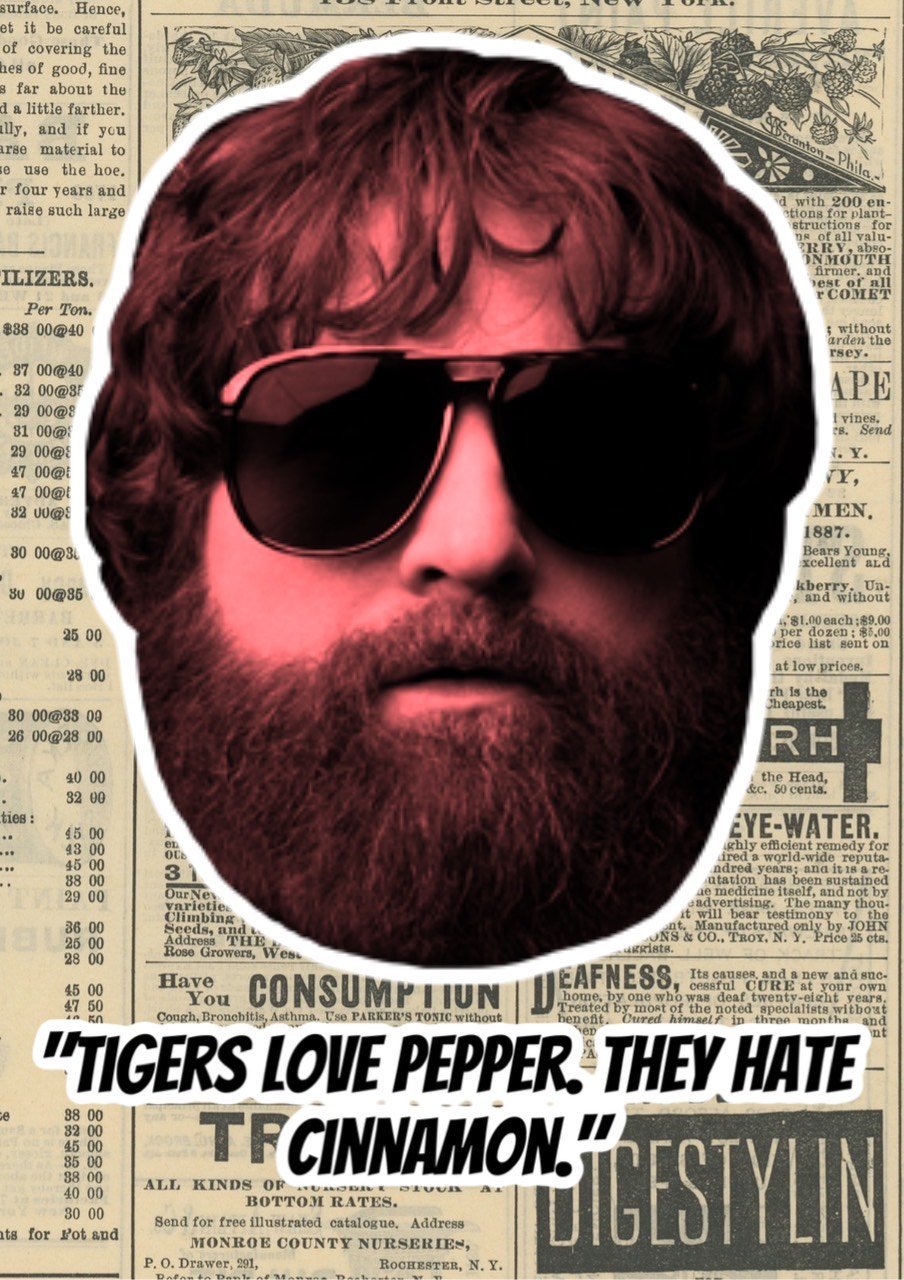 AdamMegaStore-2023-08-11_12-20-33_031654-1