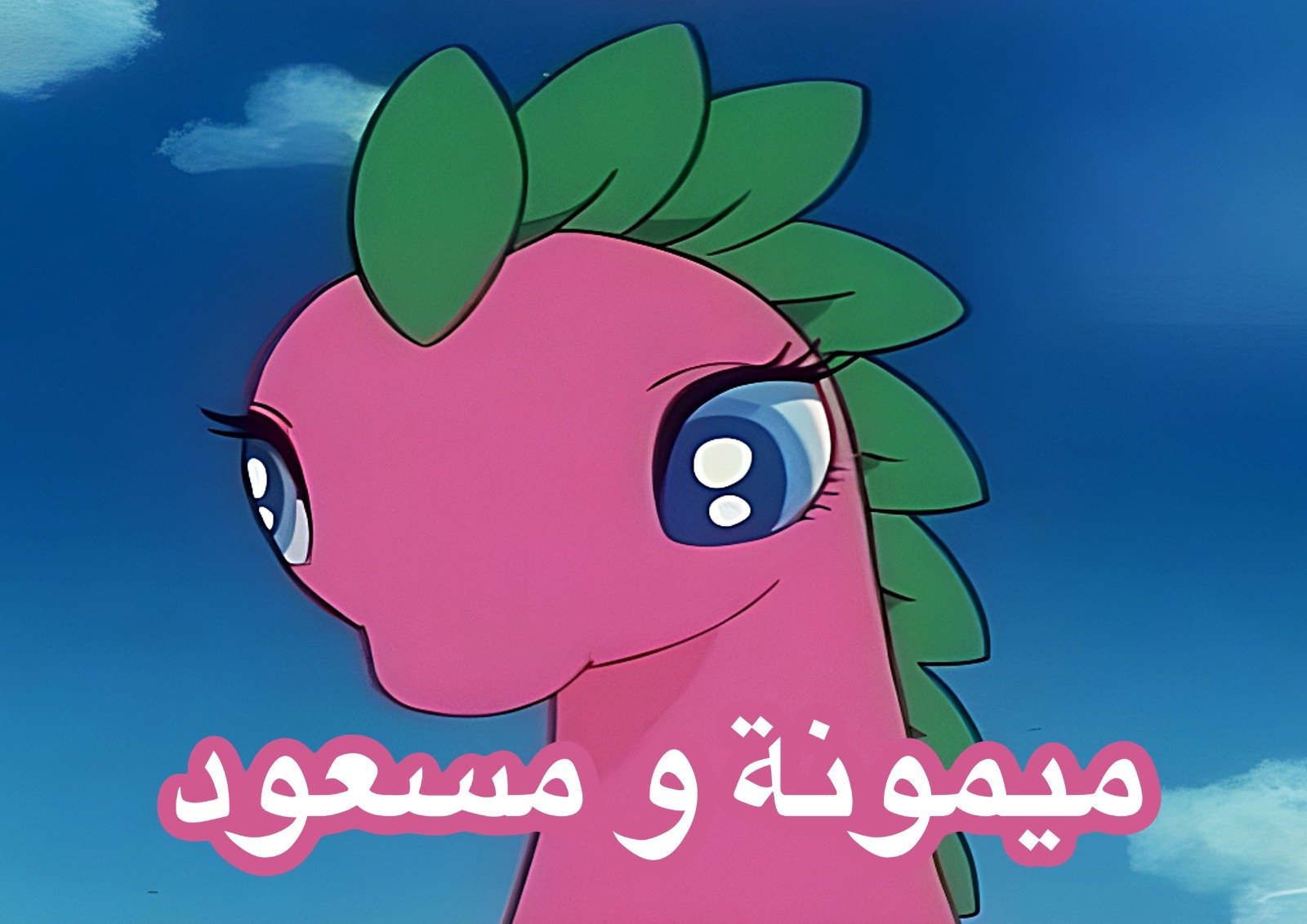 AdamMegaStore-2023-09-09_05-05-10_611980-1