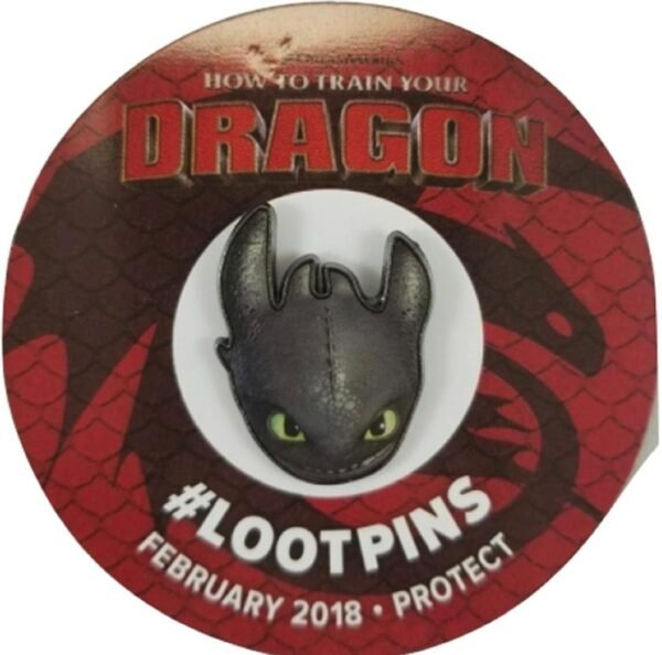 HOW TO TRAIN YOUR DRAGON pin