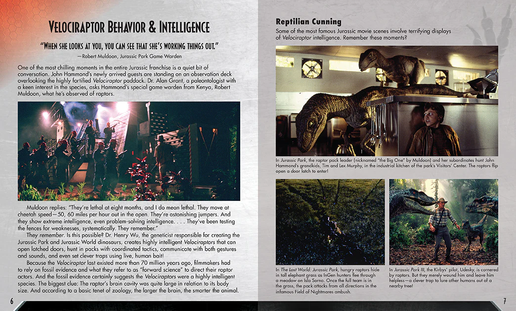 Jurassic World: Raptor 3D Wood Model and Book - Image 7